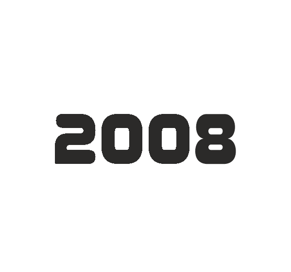 2008 Year