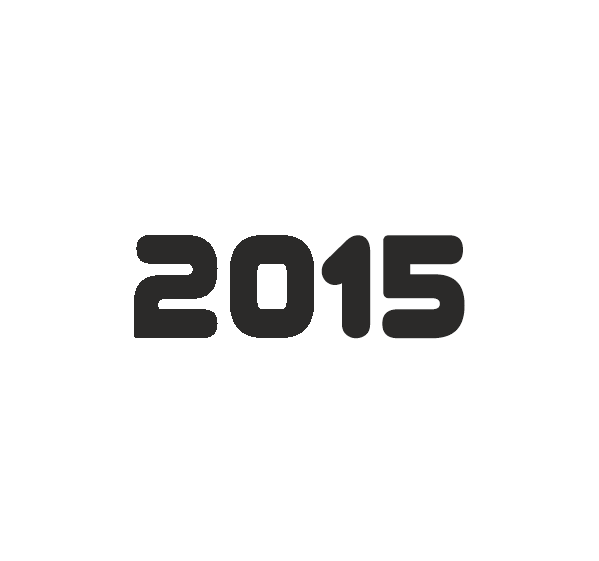 2015 Year