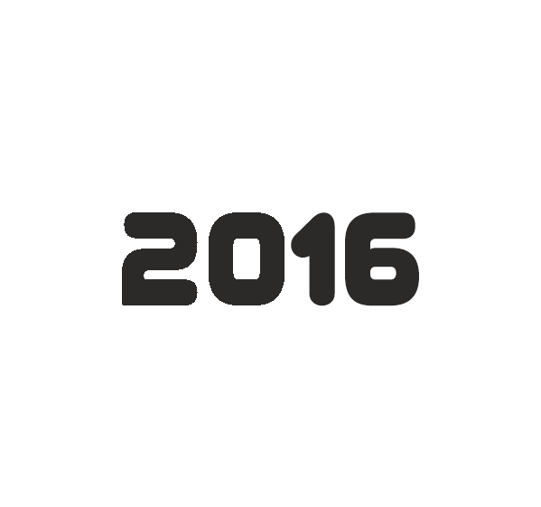2016 Year